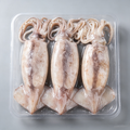 Frozen Whole Large Squid – Clean Body, Tender Flesh